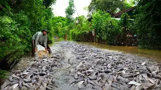 Guide to Fishing in Irrigation Canal Water Systems