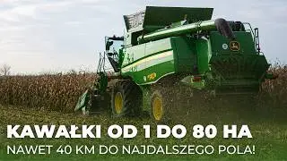 Żniwa KUKURYDZY 2024 - Kombajn John Deere T670i | Rolnik Na Czasie