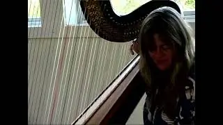 Mary Lattimore x Unacceptable Color
