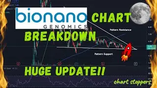 Technical Analysis : Bionano Genomics (BNGO) Stock Price Prediction (2021) And Full Chart Analysis