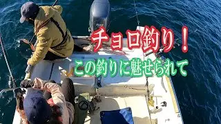 色々な魚が釣れます！鹿児島ではチョロ釣りとも言います。
