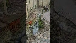 Inheemse tuinen. Wateropvang.  #inheems #duurzaam #tuinieren #regenwater #vijver #tuin