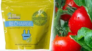 Real Growers Recharge: The Secret to Thriving Plants🌿