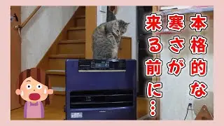 【のんびりさん家の保護猫】本格的な寒さの前に… / Before the real cold weather sets in...
