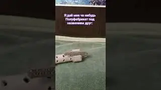 без хештегов залетит?