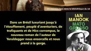 Mato Grosso Ian Manook par WL