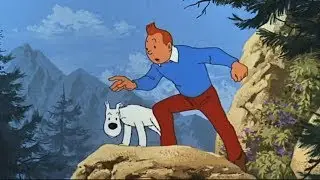 Tim und Struppi ist Kult!