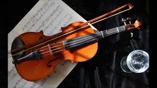 Wild Wild - Bitter Sweet Symphony (Lyrics)