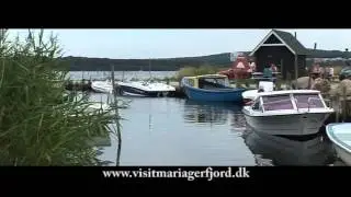 Lystfiskeri ved Mariager Fjord | Seatrout Mariager Fjord