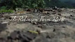 The Robinson Farm 2018