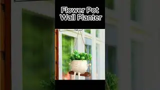SMILING Face Planter Takes Your Garden to the NEXT LEVEL!