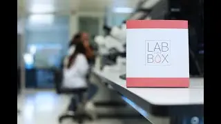 Complete STD At-Home Test &mdash; Fast, Private & Laboratory-Certified | LAB in the BOX