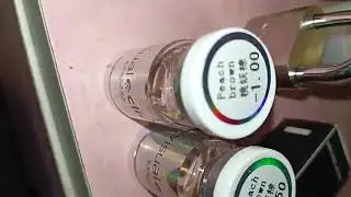 2pcs Colored Contact lens Yearly Black Coffee Bean Grade 0 00  8 00 Degree