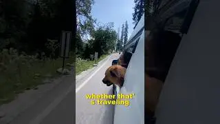 What To 