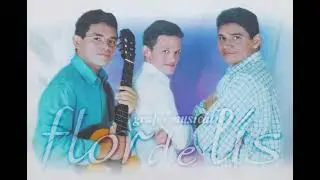 CD GRUPO MUSICAL FLOR DE L&Iacute;S - Sonhar No Amanhecer - Cd Completo 