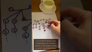 Кому достанется наследство в Турции? Часть 2