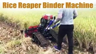 Efficient Rice Binder Machine | Fast & Precise Harvesting | Modern Farming Tech#rice #reaper