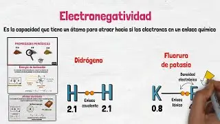 Electronegatividad