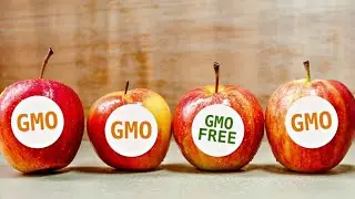 Should Manufacturers Be Required To Label Foods Containing GMOs?