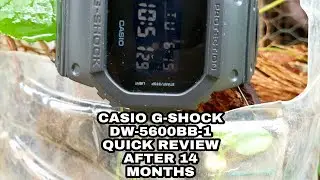 Краткий обзор CASIO G-SHOCK DW-5600BB-1 спустя 14 месяцев #dw5600