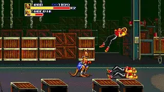 How To Play As Roo In Streets Of Rage 3