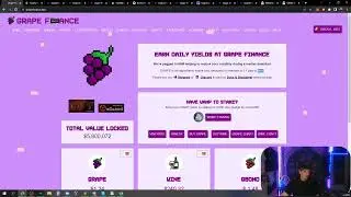 Grape Finance: Avalanche Tomb Fork ✨2022 DeFi Protocol