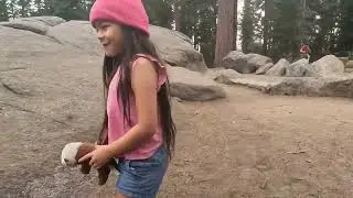 Lodgepole campground 2025