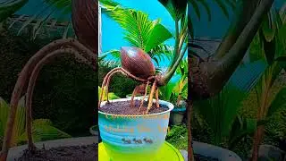 Coconut Bonsai Making like Ant 🐜🐜🐜🐜