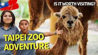 🇹🇼 Let's Go To Taipei Zoo (Largest Zoo In Asia)! Taiwan Ep17 - Tamil Travel Vlog