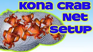 Установка сетей для ловли крабов Kona | Крабы-гаечные ключи | Рыбалка на Гавайях | Рыбалка на Гав...