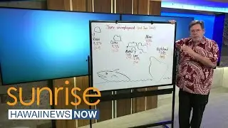 Business Report: June unemployment rates in Hawaii