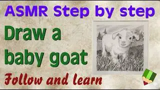 Sketch to art - Drawing a Baby Goat ASMR Experience