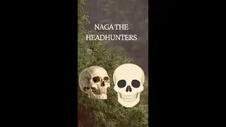 Naga Headhunting | True Story of Naga Tradition | Naga Warrior