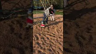 Frfg