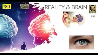 Reality & Brain | Q&A | reality | brain | sensory | organ | data | past | distortion |   @Vettaveli