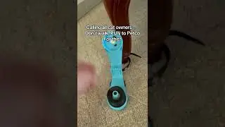 Petco might not have this cat toy but we sure do. And the cats, they just can&rsquo;t get enough.