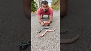 Remote Control Two RC snake 🐍 Unboxing And Testing 🔥 #snake #rcsnake #toys #rccar #shortsfeed #car