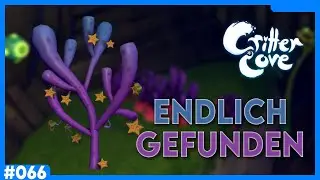Sternfr&uuml;chte, wo sind diese Sternfr&uuml;chte? Ach ja da sind die! &bull; #066 | Critter Cove 🏝️
