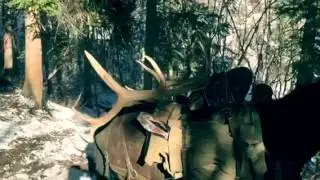 utah limited entry elk 2015