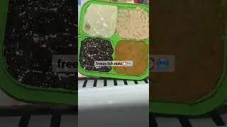 The BEST Dog Enrichment: Making A Frozen Lick Mat For My Dogs