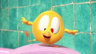 Chicky's bathroom | Where's Chicky?  | Cartoon Collection in English for Kids | New episodes HD