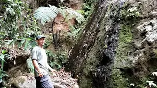 Finca Waterfall Tour at the Fruition Center for Holistic Ecology in Costa Rica's Southern Green Zone
