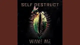 Self Destruct