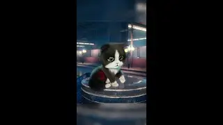 Kitten Match: PERFECT Time with Cute Kitties COMPILATION!