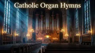 Catholic Organ Hymns ✝️ Deep Prayer & Sacred Worship | January Devotion
