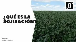 ¿Qué es la sojización?