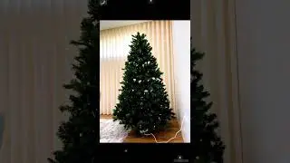 Christmas tree decorations WhatsApp status #avemaria #church #god #thomas