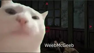 Cat Vibin to Morishige's Theme (Corpse Party Book of Shadows)
