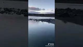 Eider duck hunting 2021