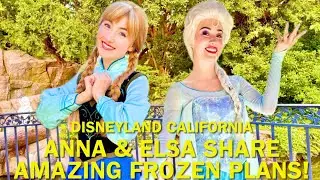 Anna and Elsa Share Their AMAZING Frozen Plans in Arendelle & Disneyland! #disney 